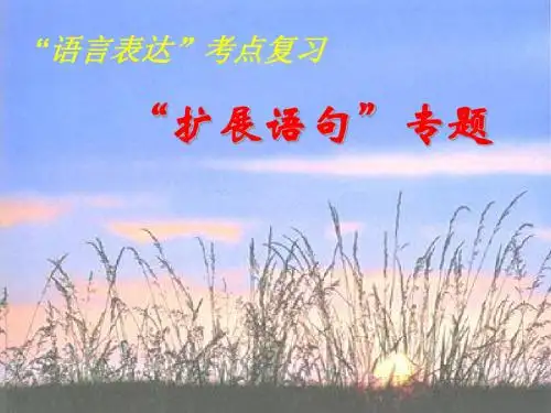 高考复习语句扩展PPT (共14张PPT)