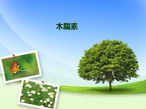 木脂素结构性质提取方法及其鉴别
