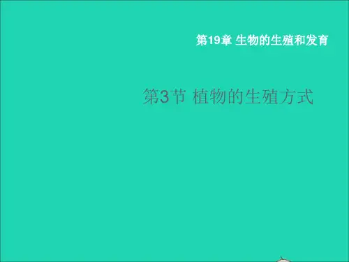 八年级生物上册第19章生物的生殖和发育第3节植物的生殖方式教学课件新版北师大版