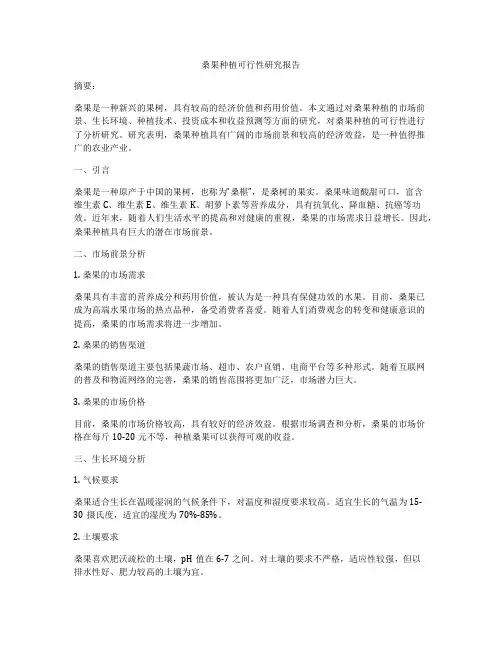 桑果种植可行性研究报告