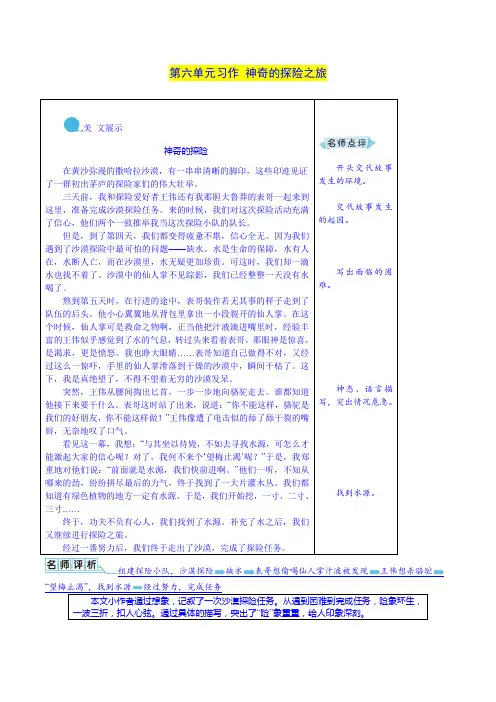 部编五年级下册语文教案-第六单元习作 神奇的探险之旅 例文