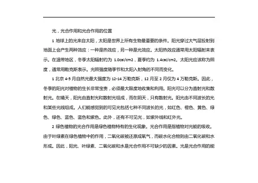 光与光合作用