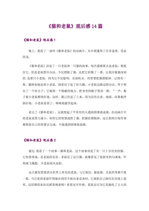 《猫和老鼠》观后感14篇