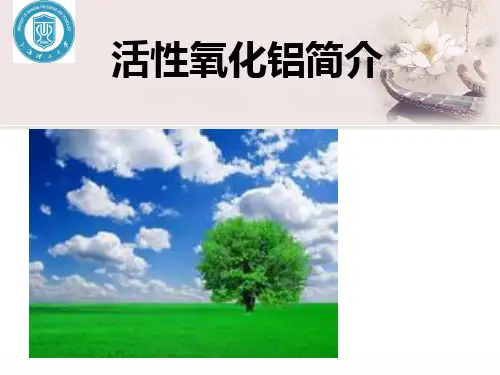 活性氧化铝的制备及改性..