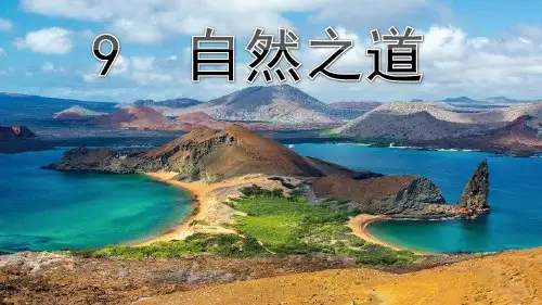 人教新课标四年级下册语文课件：自然之道(共14张PPT)