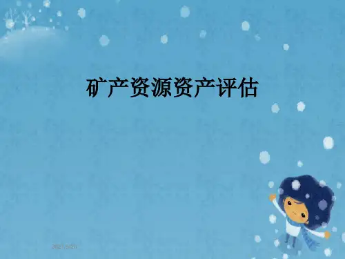 矿产资源资产评估