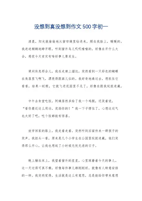 没想到真没想到作文500字初一