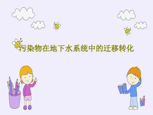 污染物在地下水系统中的迁移转化共140页