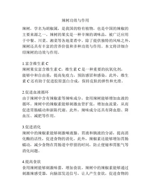 辣树功效与作用