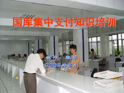 国库集中支付