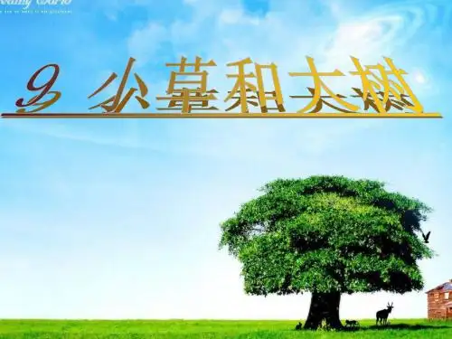 苏教版六年级上册《小草和大树》课件4