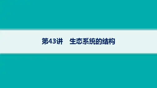 人教版高考生物学一轮总复习精品课件 第9单元 生物与环境 第43讲 生态系统的结构 (3)