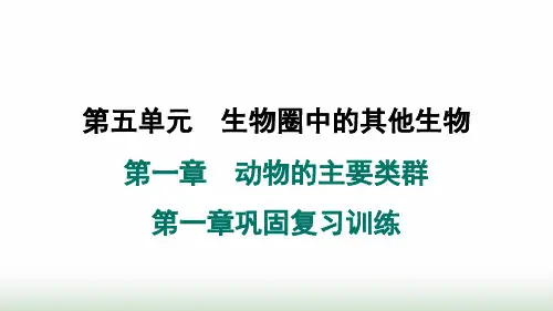 人教版八年级生物上册第五单元第一章巩固复习训练课件