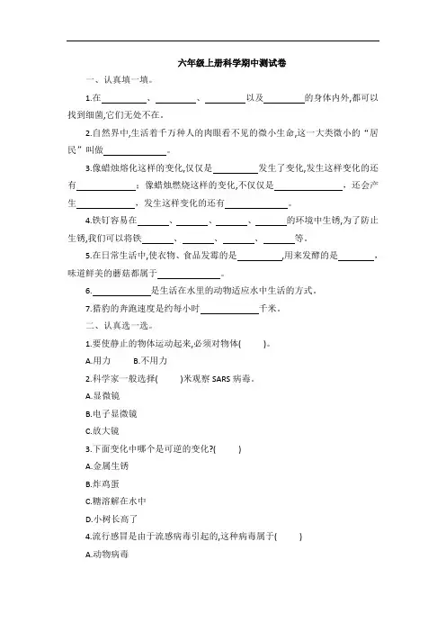六年级上册科学试题—期中测试卷(含答案)青岛版