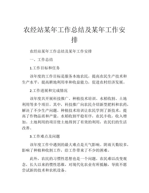 农经站某年工作总结及某年工作安排