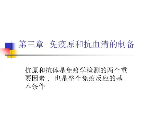 免疫原和抗血清的制备PPT课件