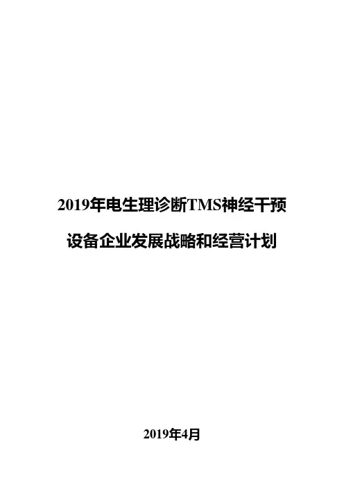 2019年电生理诊断TMS神经干预设备企业发展战略和经营计划