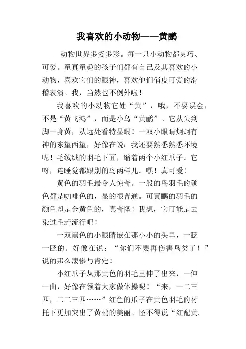 我喜欢的小动物黄鹂
