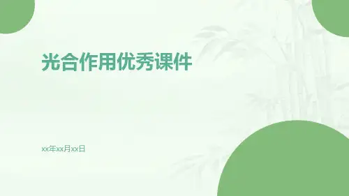 光合作用优秀课件