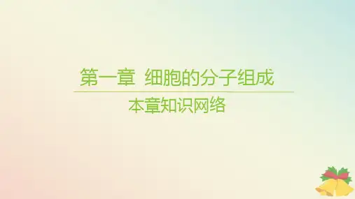 江苏专版2023_2024学年新教材高中生物第一章细胞的分子组成本章知识网络课件苏教版必修1