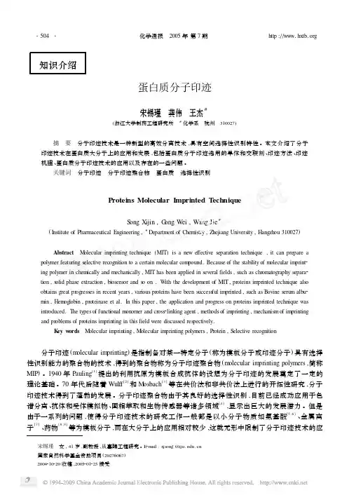 蛋白质分子印迹