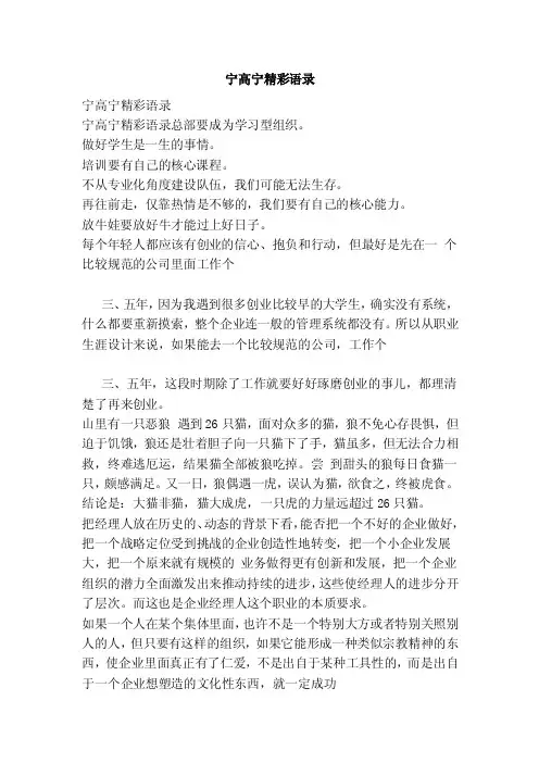 宁高宁精彩语录（范本）