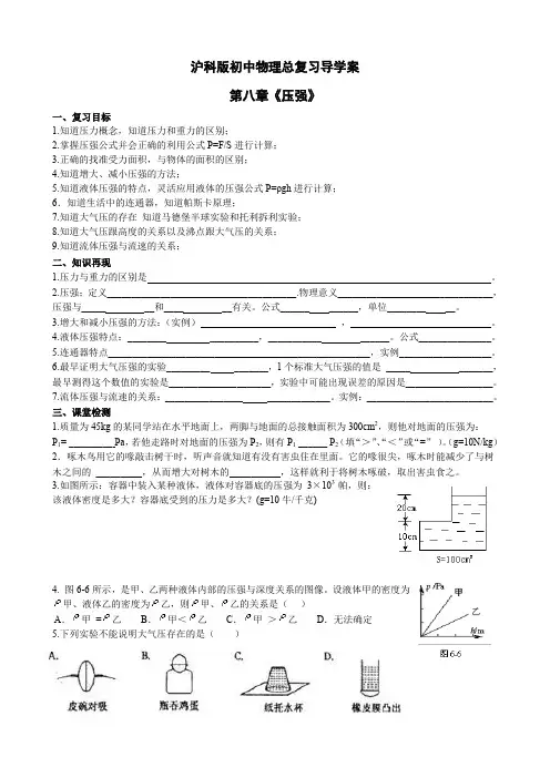 沪科版初中物理总复习导学案(第八章)