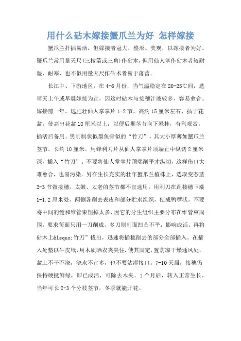 用什么砧木嫁接蟹爪兰为好 怎样嫁接