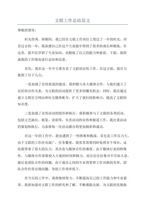 文联工作总结范文