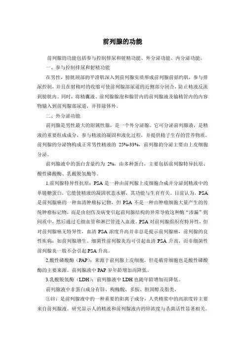 前列腺的生理功能