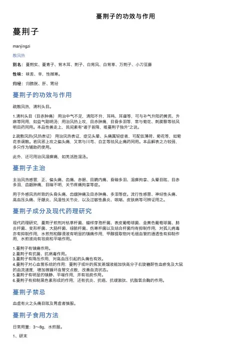 蔓荆子的功效与作用
