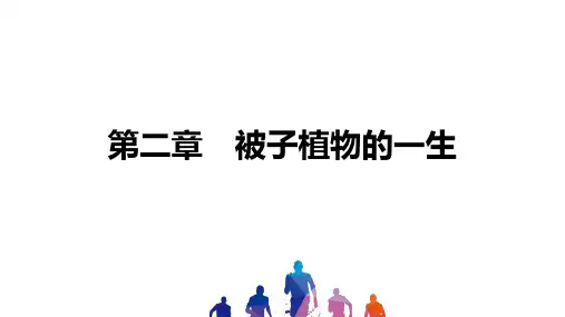 2021年 中考一轮复习生物 第三单元 第二章  被子植物的一生 课件