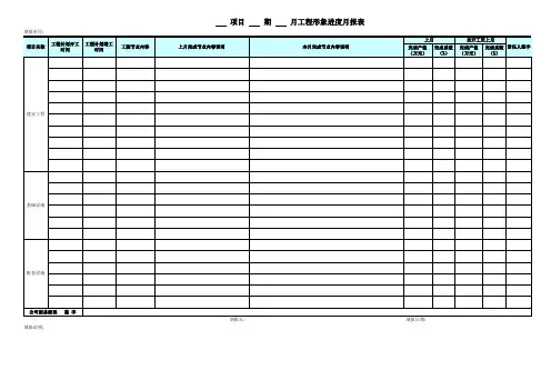 工程形象进度报表