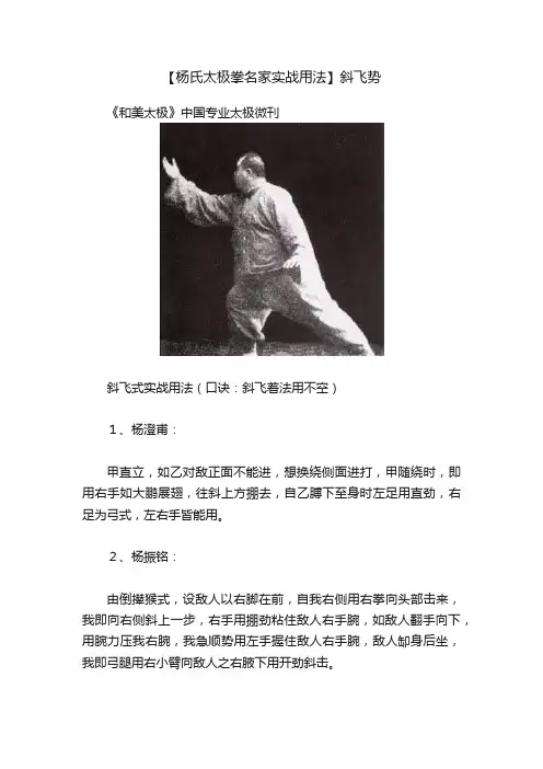 【杨氏太极拳名家实战用法】斜飞势