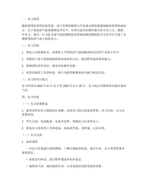 油气地下地质实习报告