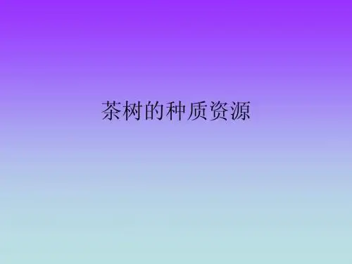 茶树的种质资源