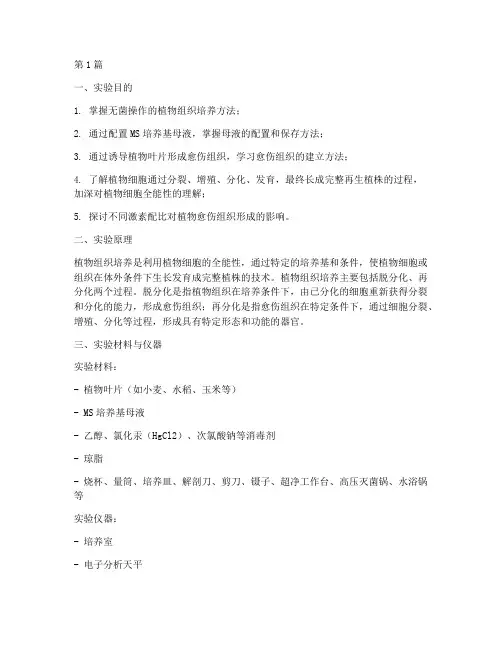 植物培植实验报告范文(3篇)