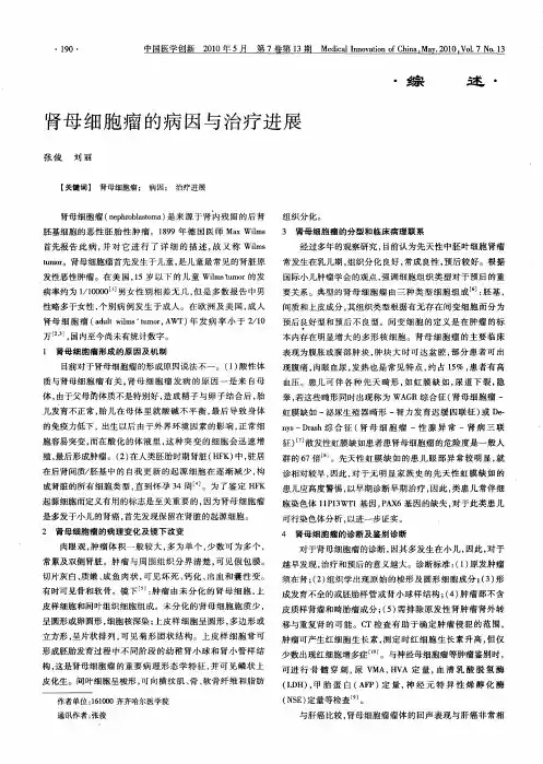 肾母细胞瘤的病因与治疗进展