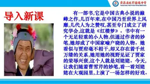 刘姥姥进大观园