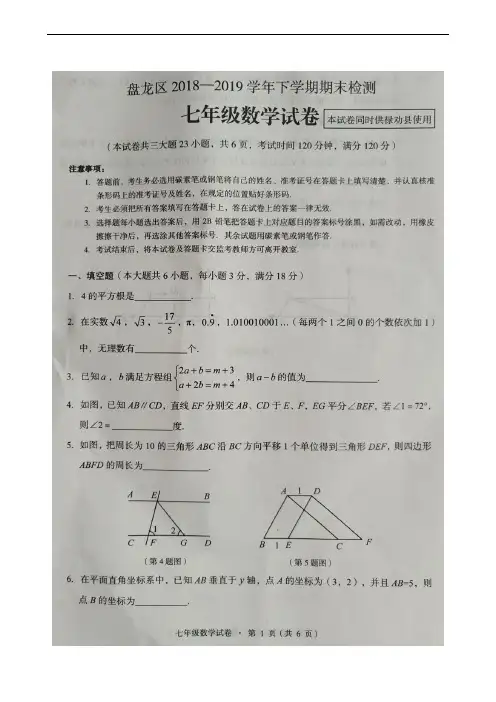云南省昆明市盘龙区(禄劝县)2018-2019学年七年级下学期期末考试数学试题(扫描版)