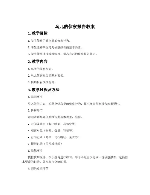 鸟儿的侦察报告教案