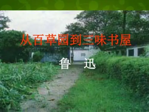 苏教初中语文七下PPT全册课件 (66)