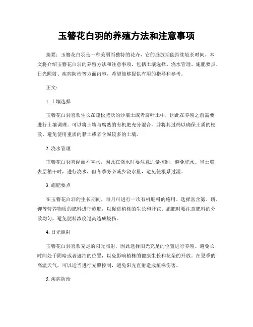 玉簪花白羽的养殖方法和注意事项