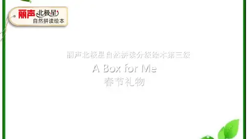 丽声北极星自然拼读绘本第三级 A Box for Me 课件