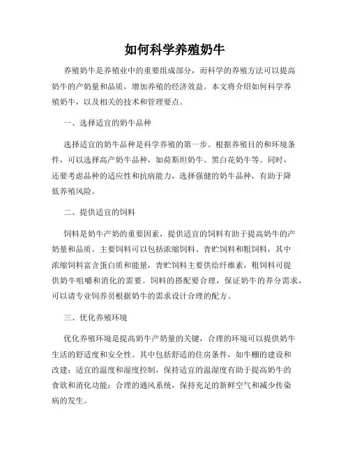 如何科学养殖奶牛