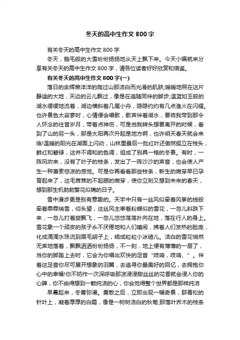 有关冬天的高中生作文800字