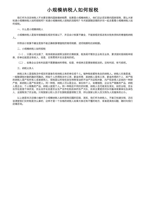 小规模纳税人如何报税