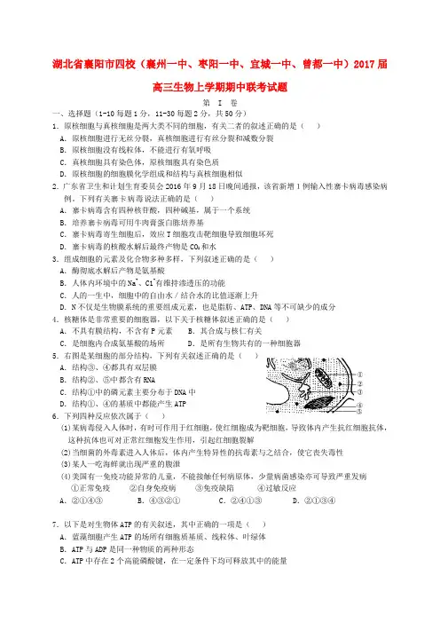湖北省襄阳市四校(襄州一中枣阳一中宜城一中曾都一中)2017届高三生物上学期期中联考试题
