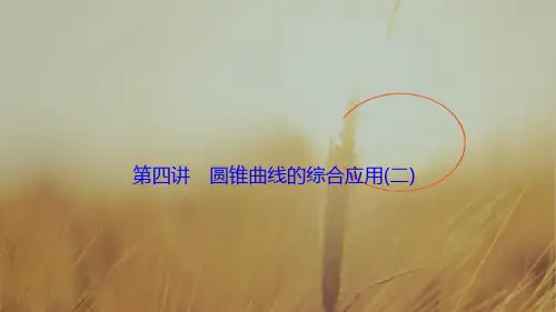 2018届高三数学理高考二轮复习书讲解课件第一部分 专题五 第四讲 圆锥曲线的综合应用二 精品
