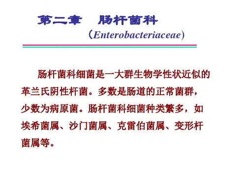 兽医微生物-肠杆菌科优质课件PPT
